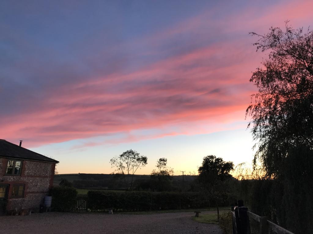 Pleck Barn B&B Ansty  Exteriér fotografie